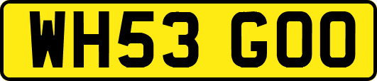 WH53GOO