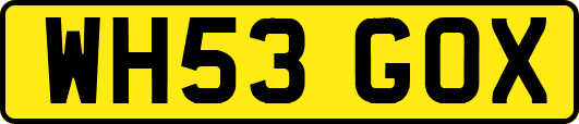 WH53GOX