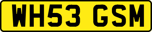 WH53GSM