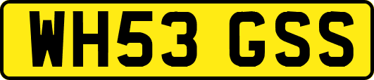 WH53GSS