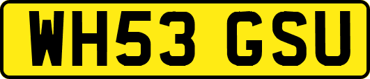 WH53GSU