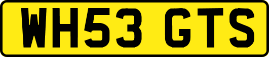 WH53GTS
