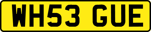 WH53GUE
