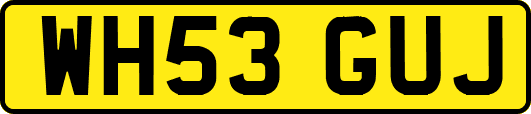 WH53GUJ