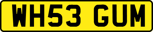 WH53GUM