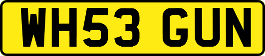 WH53GUN