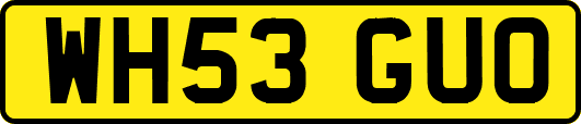 WH53GUO