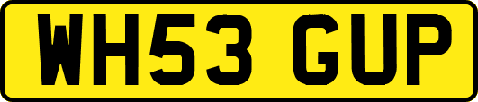 WH53GUP