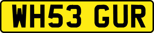 WH53GUR