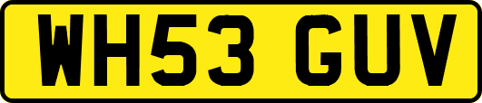 WH53GUV