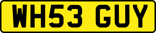 WH53GUY