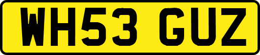 WH53GUZ