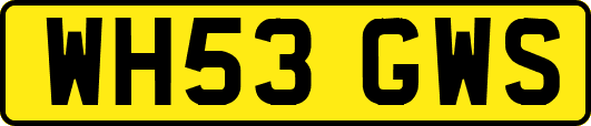 WH53GWS