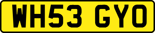 WH53GYO