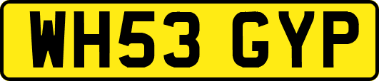 WH53GYP