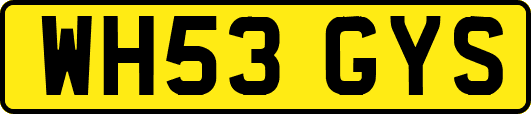 WH53GYS
