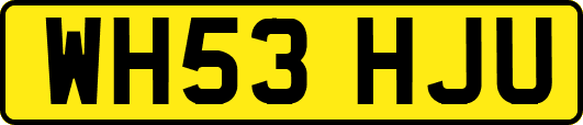WH53HJU