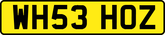 WH53HOZ