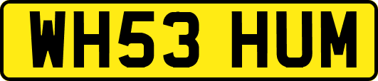 WH53HUM