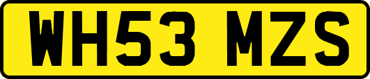 WH53MZS