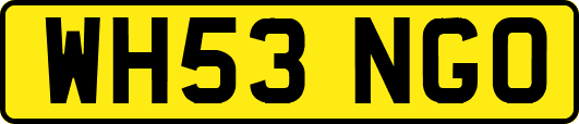 WH53NGO
