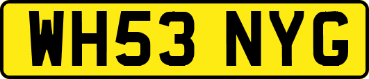 WH53NYG