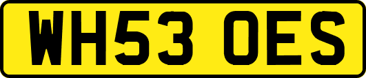 WH53OES