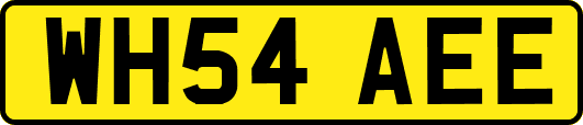 WH54AEE