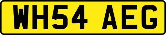WH54AEG