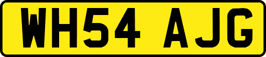 WH54AJG