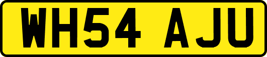 WH54AJU