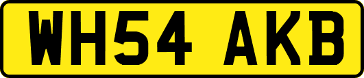 WH54AKB