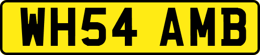 WH54AMB