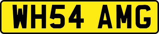 WH54AMG