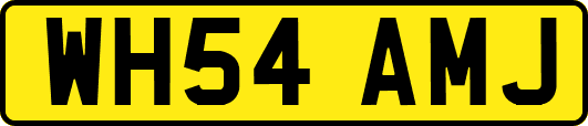 WH54AMJ