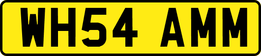 WH54AMM