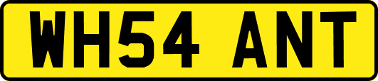 WH54ANT