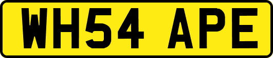 WH54APE