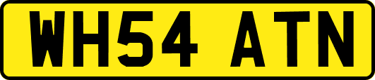 WH54ATN
