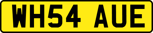 WH54AUE