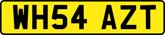 WH54AZT