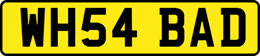 WH54BAD