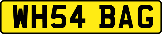WH54BAG
