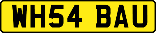 WH54BAU
