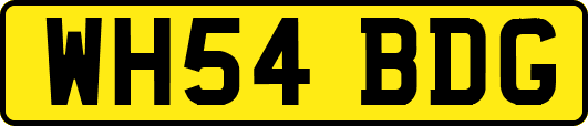 WH54BDG