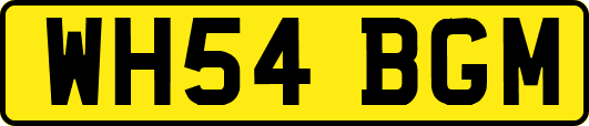 WH54BGM