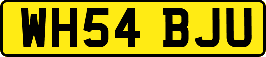 WH54BJU