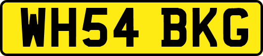 WH54BKG