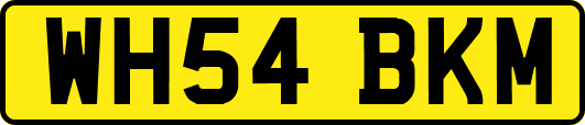 WH54BKM