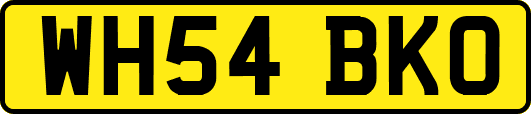 WH54BKO
